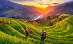 Việt Nam là quốc gia an toàn nhất châu Á 