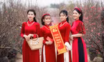 Thiếu nữ rộn ràng tạo dáng bên sắc đào đón Xuân