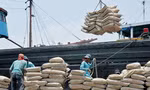 Xi măng tăng giá sau khi giá xăng tăng mạnh.
