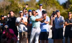 Tiger Woods thi đấu tại Hero World Challenge 2023