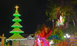 Công nhận kỷ lục Việt Nam cho cây thông Noel làm từ hàng triệu vỏ sò, ốc, hến