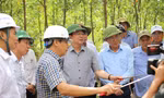 Bí thư, Chủ tịch tỉnh Bình Định khảo sát tiềm năng núi Vũng Chua