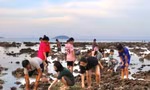 Nhiều người đổ ra biển 'uy hiếp' rạn san hô vịnh Nha Trang