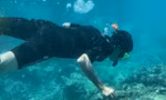 Thí điểm cho du khách lặn biển ngắm san hô vịnh Nha Trang