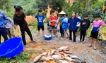 Vụ cá trong 4 ao chết hàng loạt: Đầu độc ao cá vì mâu thuẫn với hàng xóm