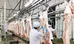 Giá lợn giảm xuống mức kỷ lục, đề xuất siết nhập khẩu thịt ngoại