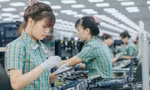 Việt Nam xuất nhập khẩu 1 tháng gần 30 tỷ USD