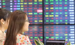 Cổ phiếu bảo hiểm hút dòng tiền, chứng khoán tăng điểm trở lại