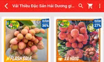 Lô vải thiều Hải Dương xuất khẩu đầu tiên chính thức cập bến Nhật Bản