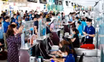Giá vé máy bay giảm mạnh 
