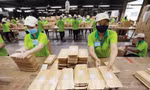 Kịch bản nào cho hàng Việt xuất Mỹ khi ông Trump tái xuất?