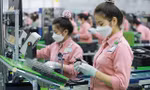 Thu ngân sách gần 300.000 tỷ đồng từ xuất nhập khẩu 8 tháng 