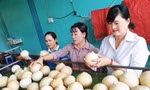 Mỹ chính thức nhập khẩu dừa Việt Nam