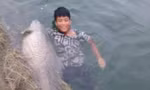 Ngư dân hồ Thác Bà bắt được cá trắm đen “khủng” 42kg
