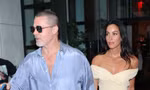 Brad Pitt không muốn kết hôn