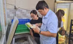 Vụ ngộ độc hơn 50 người ở Bình Thuận: Sở Y tế không thể lấy được mẫu thức ăn