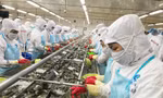Thủ tướng yêu cầu đánh giá thông tin doanh nghiệp buộc phải bán cho nước ngoài vì ‘đói vốn’ 