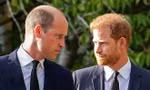 Điểm chung của William và Harry khi chọn vợ