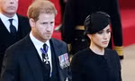 Chuyên gia ngôn ngữ cơ thể phân tích việc Meghan Markle và Harry nắm tay nhau ở lễ tang Nữ hoàng
