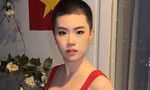 Pháo khuynh đảo nhạc Việt 