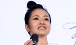 Diva Hồng Nhung: 'Tôi không còn là ca sĩ nữa'