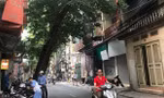 Hiểm hoạ từ cây xanh có nguy cơ gãy đổ trong mùa mưa bão