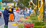 Đà Lạt rực rỡ sắc màu trước ngày khai mạc Festival hoa 
