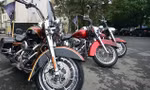 Những chiếc xe hiệu Harley-Davidson có kiểu dáng hầm hố, cá tính và mạnh mẽ cùng khoe dáng trong thời tiết giá lạnh Hà Nội.