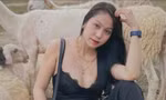 'Dì ghẻ' Võ Quỳnh Trang.