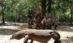 Quốc gia duy nhất nào có thể ngắm rồng Komodo trong tự nhiên?