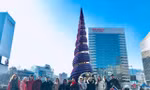 Thất nghiệp mùa COVID: Hướng dẫn viên du lịch ở nhà trông con, có người đi gặt lúa thuê