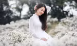 Cô nàng 9X Hà Nội tinh khôi bên cúc hoạ mi