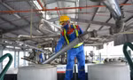 Giảm thuế xăng dầu về 0%: Thêm lực đỡ cho người dân, doanh nghiệp