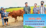 Tây Ninh thành công trong Chương trình giảm nghèo bền vững