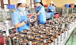 Ban hành Kế hoạch Triển khai công tác bảo đảm an toàn thực phẩm Tết Nguyên đán và mùa Lễ hội Xuân 