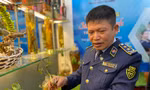 Quản lý thị trường giúp nhận diện sâm Ngọc Linh chuẩn