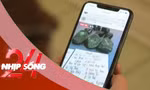 NHỊP SỐNG 24: Lừa đảo ‘đổ thạch’ trên mạng; Kỷ lục hưởng lương hưu trẻ nhất thế giới