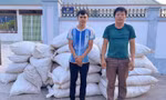 Phó Thủ tướng gửi Thư khen vụ bắt hơn 4,5 tấn gỗ trắc và vảy tê tê