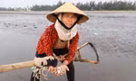 Nghề 'đi giật lùi' kiếm vài trăm nghìn mỗi ngày của phụ nữ vùng biển