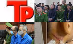 Bản tin Hình sự: Triệt phá ổ nhóm trộm cắp 30 con chó mỗi ngày