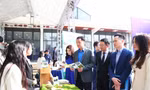 Kết nối đưa sản phẩm nghiên cứu, ý tưởng sáng tạo của thanh niên vào thực tiễn