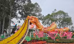 Cận cảnh rồng 'phun hoa' tại Đồng Tháp