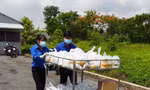 Bạn trẻ thể hiện hình ảnh đẹp của chiến sĩ tình nguyện