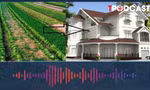 Cách chuyển đất nông nghiệp sang thổ cư năm 2025