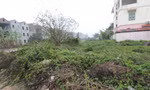 Công bố loạt dự án nhà ở xã hội chậm tiến độ, trường học 'trên giấy' ở Bắc Ninh