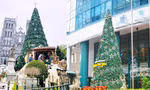  Nhìn gần những cây thông Noel 'khổng lồ' đón Giáng sinh tại Hà Nội