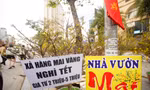 Hà Nội: Mai vàng ế ẩm, tiểu thương giảm giá, xả hàng sớm