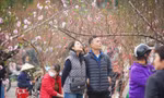 Ngày đầu kỳ nghỉ Tết Nguyên đán, người dân hồ hởi xuống phố 'săn' đào, quất