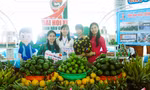 Muôn màu cây trái, đặc sản bên lề Đại hội Đoàn tỉnh Hậu Giang