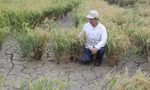Thủ tướng yêu cầu địa phương lo đủ nước ngọt cho người dân miền Tây